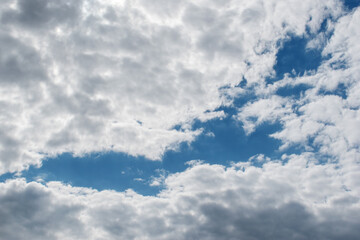 Obraz premium The blue sky is covered with fluffy clouds.