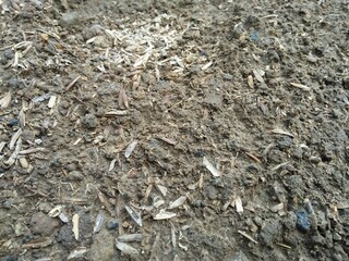 Soil wall good for bacground and design