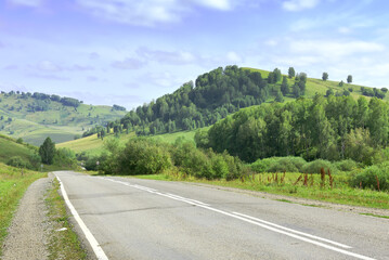 Highway in the foothills of the Altai Mountains