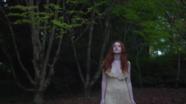 Stunning redhead wearing a dress walking through the forrest in the evening, searching for love, hope and innocence, fashion and elegance. Walking through garden trees, Elegance and desire
