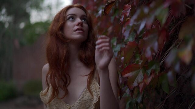 Gorgeous redhead woman standing by a wall of autumn vines in the evening, feeling them and thinking of a romance she recently had while walking through the stunning garden forrest