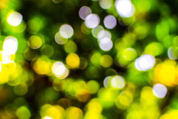 Defocused light spot, summer shade, bright