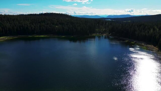 Cinematic shot of a lake in the middle of a pine forest. Aerial Drone View Flight over pine tree forest
