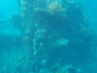 Fototapeta na wymiar インドネシア　バリ島　アメッドの沈没船