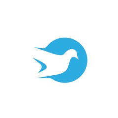 Bird Dove icon Template vector illustration