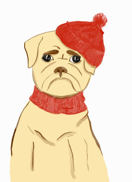Cartoon portrait of pensive dog in a red hat, front view illustration
