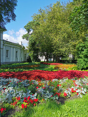 Flower beds in the park with coleus, hosta and plants with silver leaves on a sunny summer day.