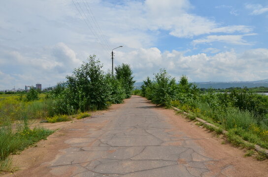 A road with bushes and column