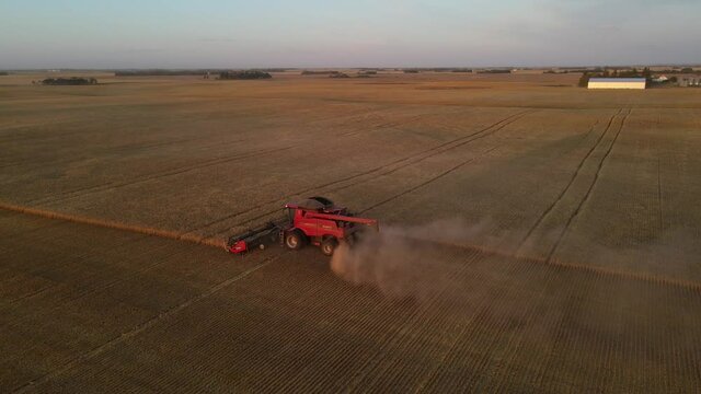 Aerial drone view from above of a modern combine harvester reaping cereals at sunset in Alberta, Canada.