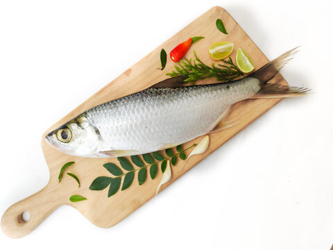 Fresh Indo-Pacific tarpon fish decorated with herbs and vegetables on a wooden pad,Selective focus.White background.
