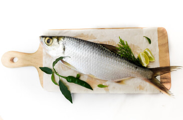 Fresh Indo-Pacific tarpon fish decorated with herbs and vegetables on a wooden pad,Selective...