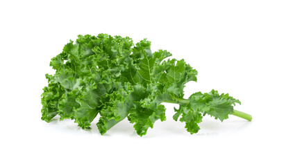 Fototapeta premium Kale leaf salad vegetable isolated on white background