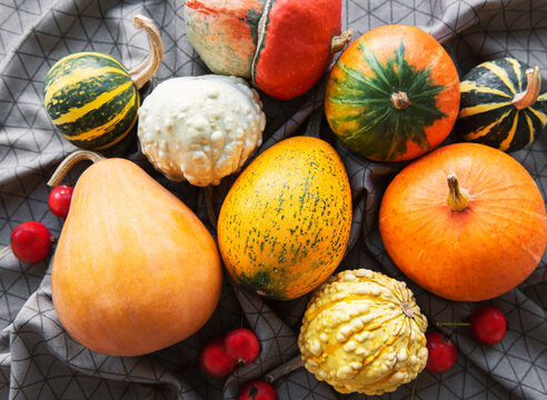 Mabon 이미지 – 찾아보기 1,055 스톡 사진, 벡터 및 비디오 | Adobe Stock