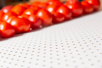 White table in a hole, in the distance blurred rows of red tomatoes.