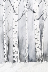 Trunks of birch trees in winter
 in the snow, watercolor background