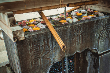 jinja shrine in Tokyo, Japan hatonomori hachiman august 2021