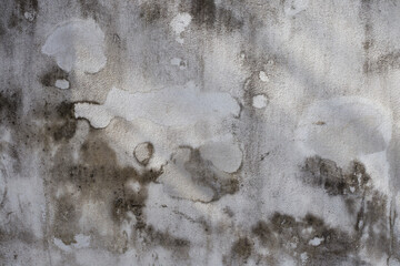 Concrete walls outside the building where black mold occurs.
