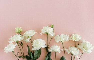 Flowers background.White eustoma flowers frame on pink background top view, copy space. Minimal floral card template.
