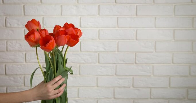 Stretched hand with flowers. A view of child stretche her hands with a bouquet of tulips in the room.