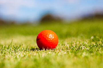 coloured golf ball in the grass