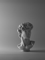 Plaster sculpture head of David.
