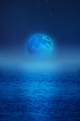 Papier Peint photo Lavable Pleine Lune arbre Pleine lune s& 39 élevant au-dessus de l& 39 horizon océanique.