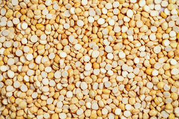 Fototapeta premium Roasted Gram, Roasted Bengal Gram, Roasted Split Gram