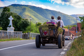 Pferdewagen in Rasinari, Siebenbürgen