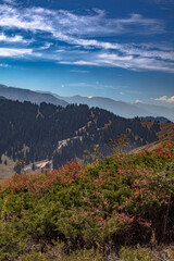 grand teton national park