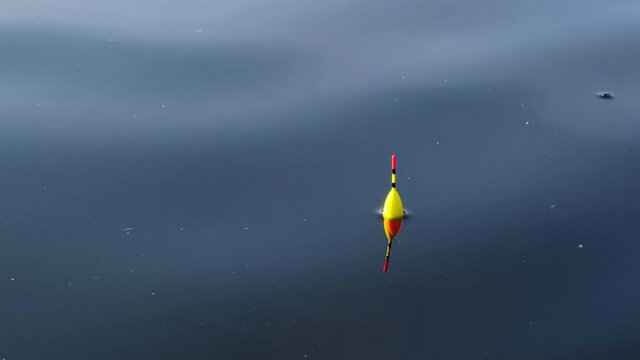 Fishing on the lake. Bite on the water The float for fishing floats on the surface of the water of the reservoir. The concept of fishing, outdoor activities, hobbies 