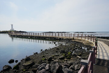 Fototapeta na wymiar a wonderful seascape with a seaside walkway 