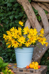 Fototapeta na wymiar Sonnenblumenstrauß im vintage Eimer im Garten