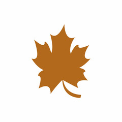 Maple leaf vector illustration design template
