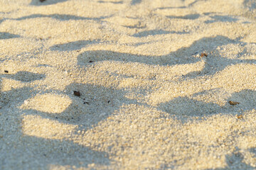 Sandy beach beautiful texture sun and shadows. High quality photo