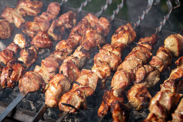 Grilled meat, delicious mutton kebab. The Gourmet holiday was a success.