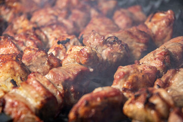 Grilled meat, delicious mutton kebab. The Gourmet holiday was a success.