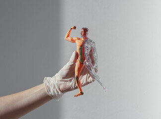 Hands holding skinless human body 3d model with blood circulatory and muscular systems. Anatomy medical concept.