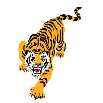 An illustration of a tiger or a wild cat with huge claws and fangs. A bloodthirsty predator before hunting a victim. An idea for a tattoo. a relative of a lion, cougar, leopard or cheetah