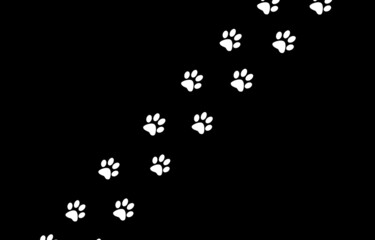white animal tracks on a black background