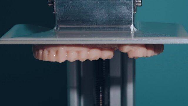 Jaws with teeth printed on a 3D printer