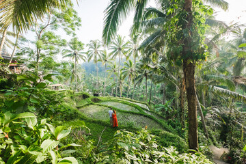Сouple in love walking in a rice field, Bali, Indonesia. - obrazy, fototapety, plakaty