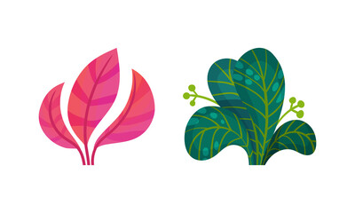 Bright Exotic Grass and Fancy Plant with Shaped Leaf Vector Set