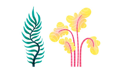Bright Exotic Grass and Fancy Plant with Shaped Leaf Vector Set