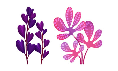 Bright Exotic Grass and Fancy Plant with Shaped Leaf Vector Set