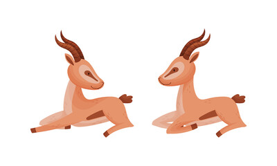 Sitting African Gazelle as Fawn-colored Antelope Species with Curved Horn Vector Set