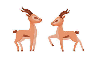 Standing African Gazelle as Fawn-colored Antelope Species with Curved Horn Vector Set