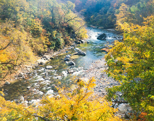 紅葉の子安峡と皆瀬川