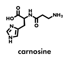 Carnosine molecule. Has antioxidant properties; commonly used in food supplements. Skeletal formula.
