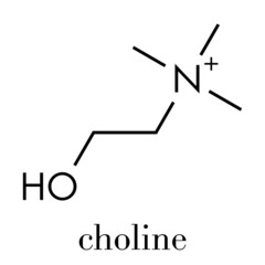 Choline essential nutrient molecule. Skeletal formula.