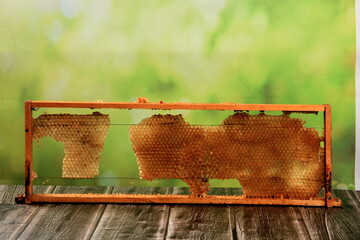 Old and damaged bee honeycomb close-up  in a wooden frame. Beekeeping concept